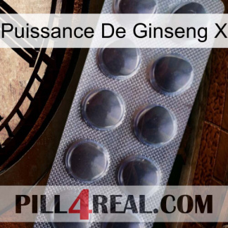 Ginseng Power X 30